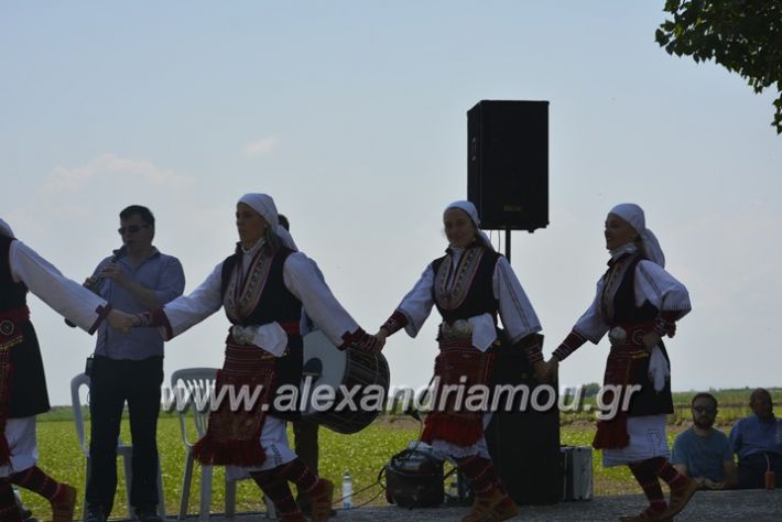 alexandriamou.gr_trikala28.5.2018057